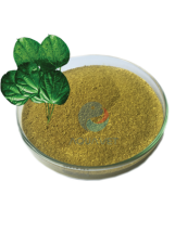 VÀNG ĐẮNG - BERBERIN 97% - Trị Phân Lỏng & Ức Chế Vi Khuẩn